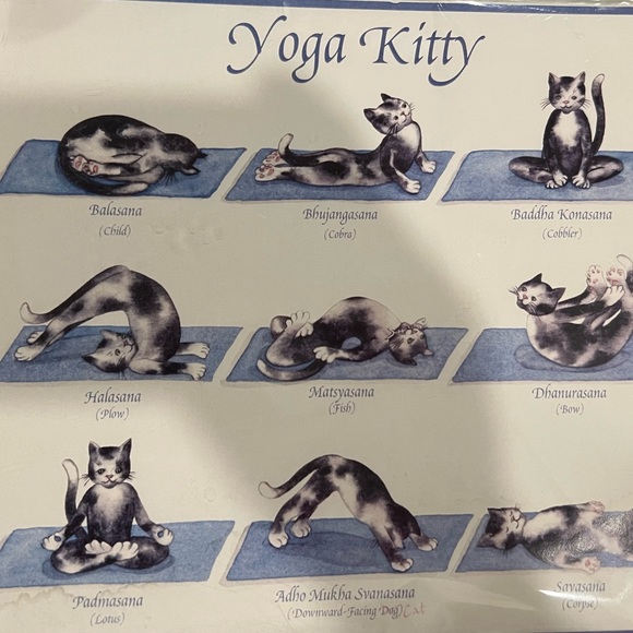 🐱 Yoga Kitty print with 9 yoga poses - Picture 5 of 10